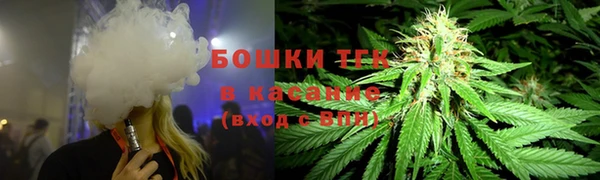 гашик Зерноград