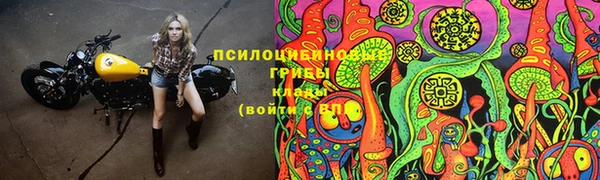 бошки Зеленодольск