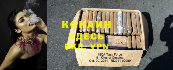 кокс Инсар