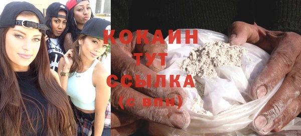 гашик Зерноград
