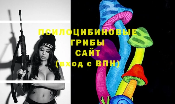 гашик Зерноград
