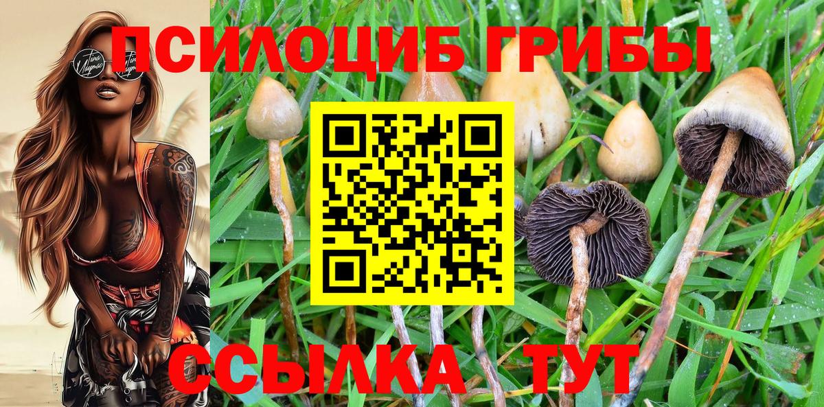Псилоцибиновые грибы MAGIC MUSHROOMS Чайковский